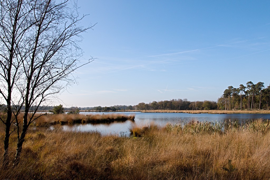 Oisterwijkse Bossen en Vennen Kampina natuurgebied natuur hdr oisterwijk Nationaal park Landschap Het Groene Woud hei heide bossen natuurmonumenten brabant